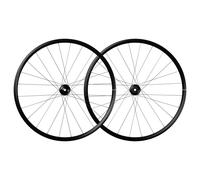 Mavic - Aksium 1 Disc 12 x 100 - 12 x 142 mm Centerlock - Paire de roues vélo de route - XDR
