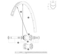 Mavic Ksyrium Disc Left Spokes 12 Units Noir 295 mm Black