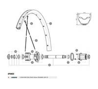 Mavic Rayons Arrière Droits Crossride Light 29 2016-17 12 Unités