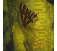 Mawaca - Astrolabio Tucupira Com Brasil