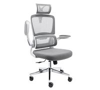 MAWERDCXG Chaise de Bureau Chaise De Restauration Petit Appartement Loissine Table en Fer Forgé Et Négociation du Sol Réception La Thé Laitier Bureau Ergonomie(A1)