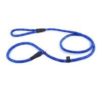 Max and Neo Laisse réfléchissante pour chien de petite taille - 1,5 m x 0,6 cm - Bleu