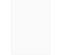 Max Bringmann Papier A4 Blanc Lot de 100 feuilles Import Allemagne G