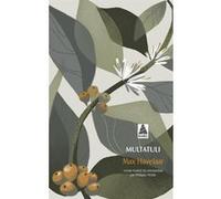 Max havelaar Multatuli (Auteur), Philippe Noble (Traduction)