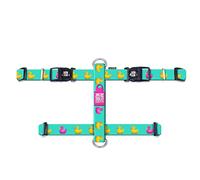 Max & Molly 4894512020429 Ducklings Harnais pour Chien en néoprène sans Odeur et sans Odeur pour Animal Domestique Taille S 110 g