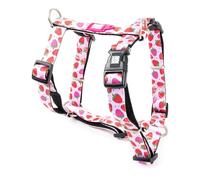 Max & Molly Harnais pour chien en forme de H, harnais ultra confortable en néoprène pour chiens de taille moyenne, Strawberry Dream/M, rembourré, sûr et ultra léger - Confort pour votre fidèle