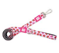 Max & Molly Laisse Classique en néoprène pour Chien 1,2 m Rembourrage Doux Design résistant aux Couleurs Vives Lavable en Machine pour Chiens de Petite, Moyenne et Grande Taille (Petit)