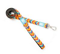 Max & Molly Laisse Classique en néoprène 1,2 m pour Chien de Petite Taille, Moyenne et Grande Taille