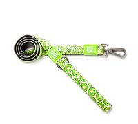 Max & Molly Laisse Classique pour Chien, poignée Confortable, Tissu néoprène Durable et résistant, matériel argenté brossé, Mousqueton Facile à Attacher, Anneau en D supérieur pour Accessoires