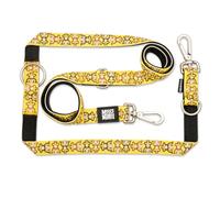 Max & Molly Laisse Multifonction pour Chien 2 m avec 2 mousquetons, Laisse Monkey Maniac/S rembourrée, sûre et Flexible - Confort pour Votre fidèle Compagnon