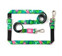 Max & Molly Laisse Multifonction pour Chien 2 m avec 2 mousquetons, Laisse Tropical/L rembourrée, sûre et Flexible - Confort pour Votre fidèle Compagnon