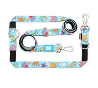 Max & Molly Laisse Multifonction pour Chien de 2 m avec 2 mousquetons, Bleu océan/M, rembourrée, sûre et Flexible - Confort pour Votre fidèle Compagnon