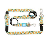 Max & Molly Laisse Multifonction pour Chien de 2 m avec 2 mousquetons, Laisse Sweet Pineapple/S rembourrée, sûre et Flexible - Confort pour Votre fidèle Compagnon