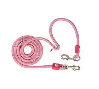 Max & Molly Matrix 2.0 Laisse multifonction pour chien Rose/M 2 m avec 2 mousquetons, laisse réglable en continu - Confort pour vous et votre fidèle compagnon