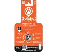 Max & MollyMédaille d'identification Intelligente Gotcha pour Animaux de Compagnie, se Fixe Facilement aux Colliers et Harnais de Chien et Chat