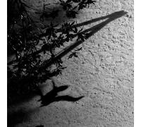 Max Richter - Max Richter: Blue Notebooks By Max Richter (2013-04-29)