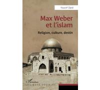 Max Weber et l'islam: Religion, culture, destin