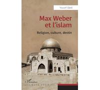 Max Weber et l'islam: Religion, culture, destin