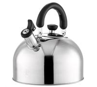 Maxcook Bouilloire en acier inoxydable 304 MS004Y - Son épaissi - Cuisinière à induction à gaz - 4L