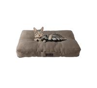 MaxCor Coussin Chien et Chat Rectangulaire à Mémoire de Forme Orthopédique - Petit Beige - Imperméable et Relaxant - Soulage et Préserve Les Articulations - Ne se Déforme Pas et Lavable en Machine