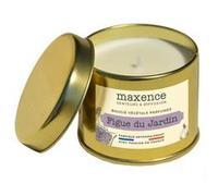 Maxence - bougie parfumée cire végétale de soja - figue du jardin G