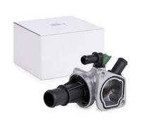 MAXGEAR 18-0250 Thermostat d'eau