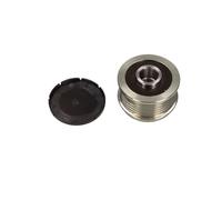 Maxgear 30-0175 Poulie à Roue Libre D'Alternateur pour BMW E81 Opel Adam Saab