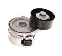 MAXGEAR 54-0029 Tendeur de Courroie,Courroie Crantée pour Citroën Fiat Lancia
