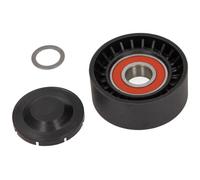 MAXGEAR 54-0606 Tendeur Levier, Courroie Crantée pour Citroën, Fiat, Ford,