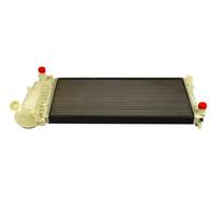 MAXGEAR AC230059 Radiateur, refroidissement du moteur pour FIAT,LANCIA