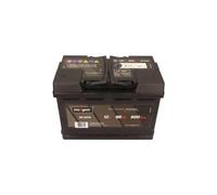MAXGEAR Batterie de démarrage 85-0014 pour AEBI ALFA ROMEO ALPINA ALPINE ARO