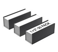 MaxGear Lot de 30 porte-étiquettes magnétiques de 2,5 x 7,6 cm avec inserts en papier et protections en plastique transparent