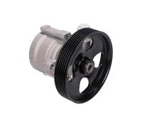 MAXGEAR Pompe de direction assistée Pompe De Direction Assistée 48-0089