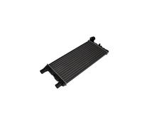 MAXGEAR AC295381 Radiateur du moteur