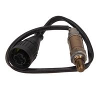 MAXGEAR Sonde Lambda Règle-sonde pour BMW 3er Compact 316i 318 Ti 320i 325i 318i