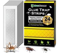 MaxGuard Lot de 24 bandes de piège à colle non toxiques extra collantes pré-appâtées avec un parfum fruité pour piège et tue les insectes, les insectes, les araignées, les grillons, les scorpions, les