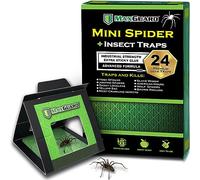MaxGuard Lot de 24 mini pièges à araignées et insectes | Pièges à colle extra collants non toxiques | Piège et tue les araignées Hobo, les araignées veuves noires, les araignées recluses marron et les
