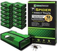 MaxGuard Piège à araignées + insectes (12 boîtes) Piège à colle extra collante non toxique Piège et tue les araignées Hobo Black Widow Spiders Brown Recluse araignées et autres insectes rampants