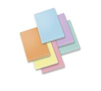 Maxi Cahier Pigna Monochrome Pastel 02298900q - Lingette Q - Lot De 10 Cahiers Ass.