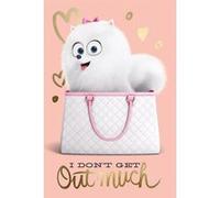 Maxi Poster 61 x 91,5 cm The Secret Life Of Pets I Don't Get Out Much G