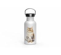 MAXIKIWI - Gourde à paroi simple en acier inoxydable avec bouchon à vis et poignée, non isolée, légère, sans BPA, anti-fuite - Races de chats - 500 ml