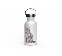 MAXIKIWI - Gourde à paroi simple en acier inoxydable avec bouchon à vis et poignée, non isolée, légère, sans BPA, anti-fuite - Races de chats - 500 ml