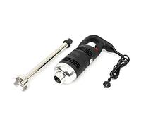 Maxima Mixeur plongeant - Tige de 41 cm - 650 W