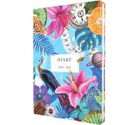 Maximalism Mx153m.60-2425 Agenda Semainier Pour Étudiants, Enseignants Et Universitaires Bleu A5