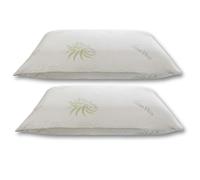 MAXIME MAISON - Oreiller Memoire Forme Lot de 2 40x70 Orthopédique, Coussin a Memoire de Forme Rectangulaire Made in Italy (2, Revêtement D'aloès, Hauteur 15)