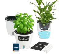 Maximex 3 Pots de Fleurs à réserve d’Eau, Lot de 15 pièces, Pots à Herbes aromatiques avec réservoir d'eau, arrosage Automatique pour Plantes d'intérieur, Ø 18 x 19 cm, Plastique