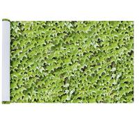Maximex Brise-Vue pour Balcon - Vin Sauvage - Séchage Rapide - Multicolore