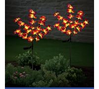 Maximex Piquets solaires LED pour Jardin orchidées, Lot de 2, 2 Modes d'éclairage, capteur crépusculaire, résistantes aux intempéries, pour parterres et jardinières, 20-55 x 75 cm, Plastique/métal