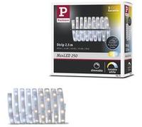 MaxLED 250 Strip LED Extension 2,5m Tunable White revêtue 9W 270lm/m Tunable White