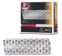 Paulmann Ruban LED MaxLED 250 79855 5 m Blanc chaud 2700 K IP20 20 W